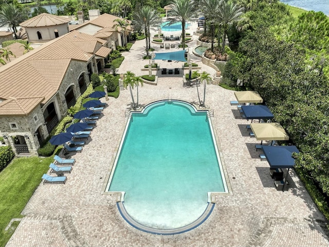 view of pool featuring a patio