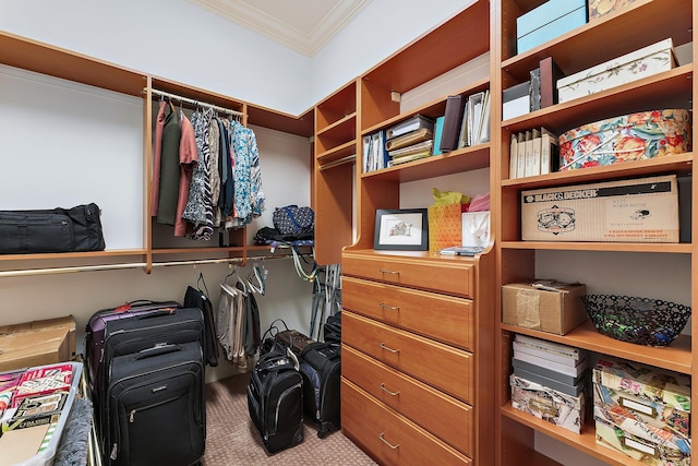 spacious closet with light colored carpet