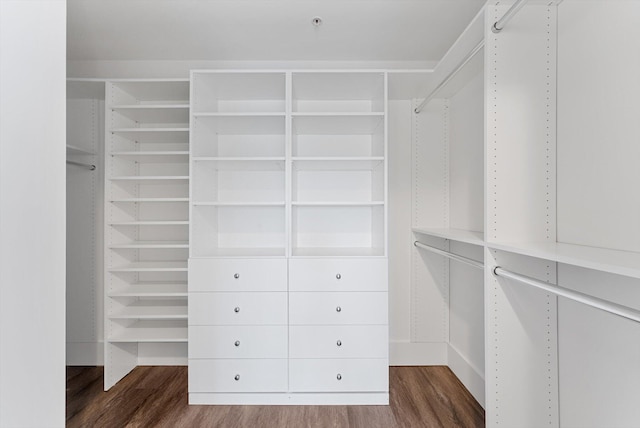 spacious closet with dark wood-type flooring