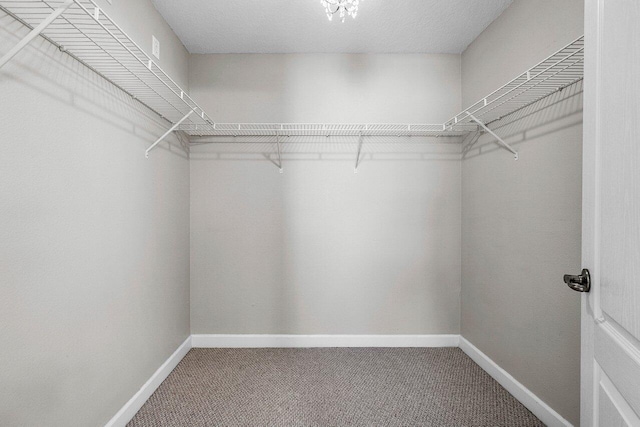 spacious closet with carpet