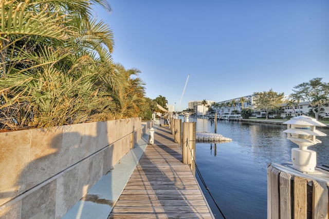 dock area with a water view