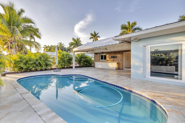 view of pool with a patio area