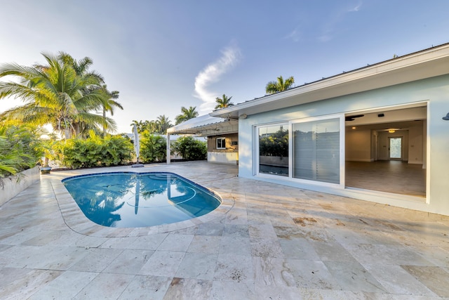 view of pool featuring a patio