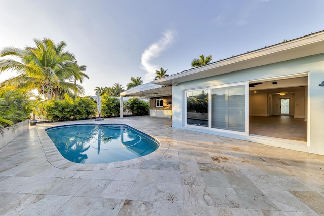 view of pool featuring a patio area