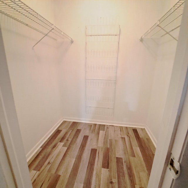 walk in closet with light hardwood / wood-style floors