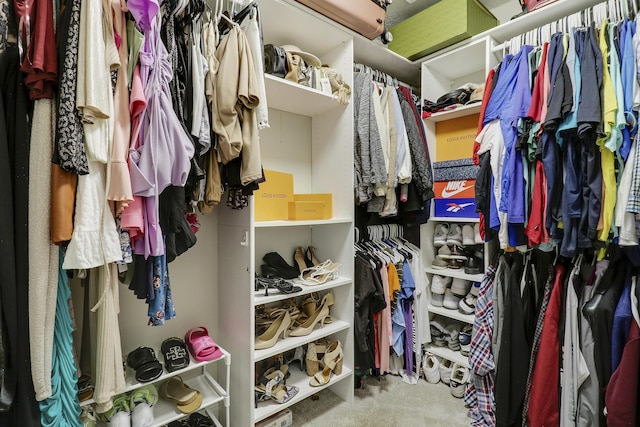 walk in closet featuring carpet floors