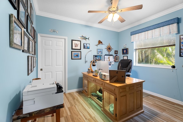 home office with crown molding, ceiling fan, and light wood-type flooring