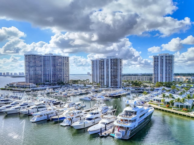 view of water feature featuring a dock and a city view