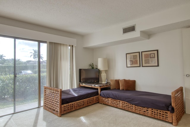 carpeted bedroom with access to exterior and a textured ceiling