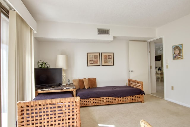 living room featuring carpet floors and a textured ceiling