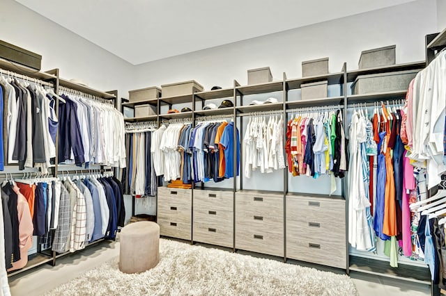 view of spacious closet