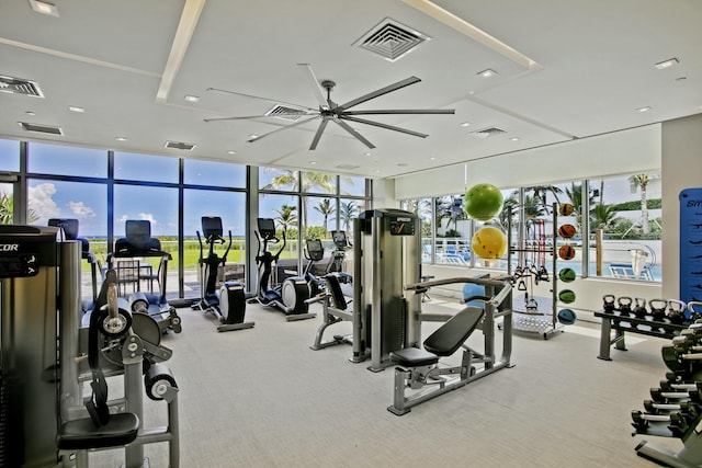 workout area with expansive windows, ceiling fan, a healthy amount of sunlight, and carpet floors