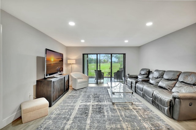 living room featuring light wood-type flooring