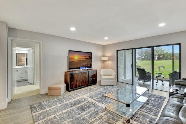 living room with light hardwood / wood-style floors