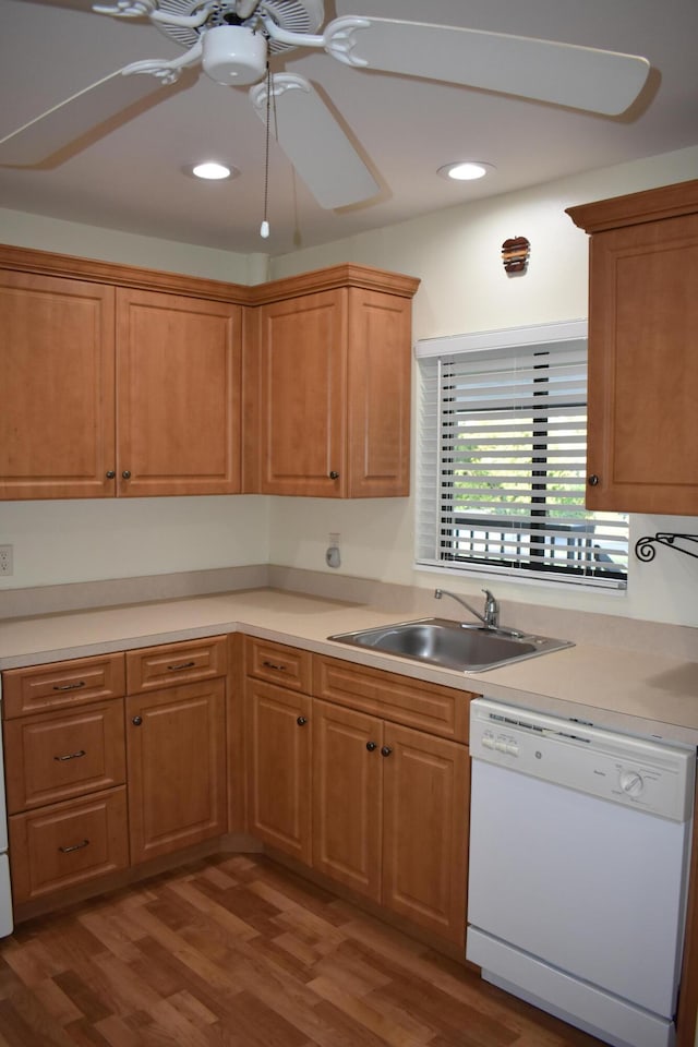 kitchen with hardwood / wood-style flooring, ceiling fan, white dishwasher, and sink