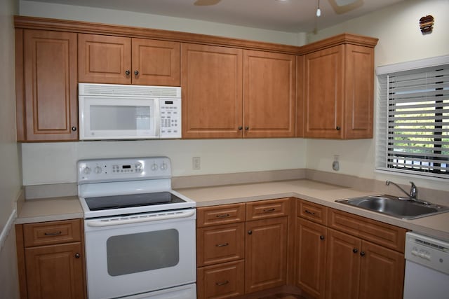 kitchen featuring ceiling fan, white appliances, and sink