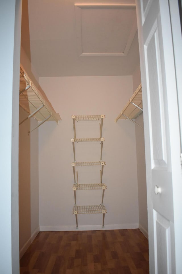 spacious closet featuring dark wood-type flooring