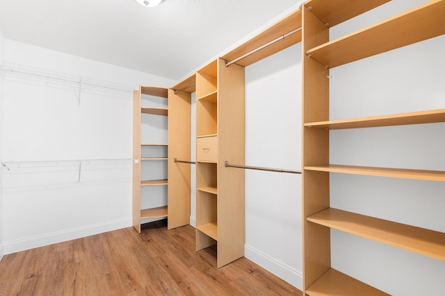 walk in closet featuring light wood-type flooring