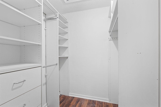 spacious closet with dark wood-type flooring