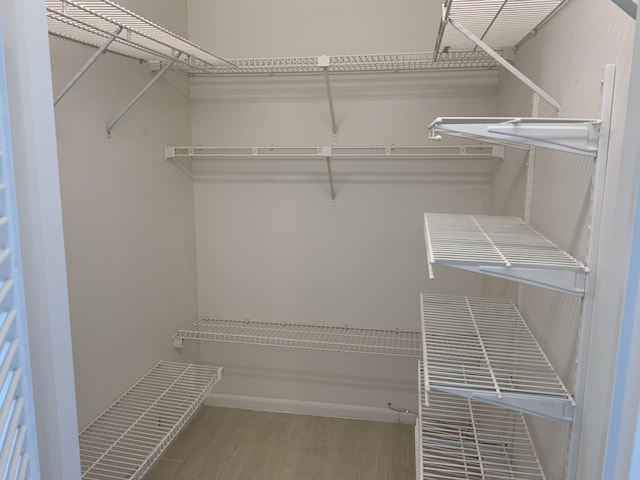 spacious closet featuring light wood-type flooring