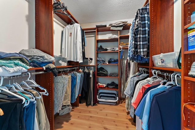 walk in closet with light hardwood / wood-style flooring