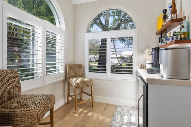 living area featuring plenty of natural light and light hardwood / wood-style floors