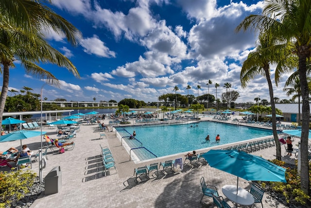 view of swimming pool