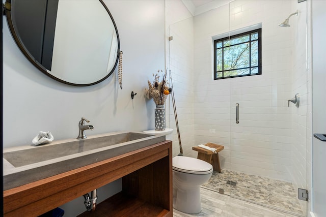 bathroom featuring walk in shower, vanity, and toilet