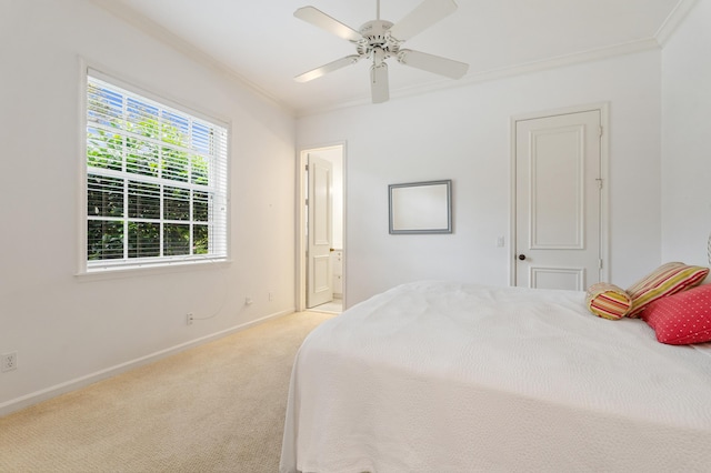 carpeted bedroom with crown molding, ceiling fan, and ensuite bathroom