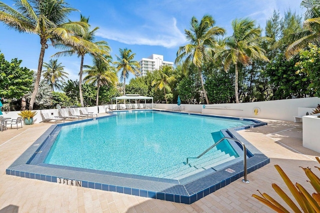 view of pool featuring a patio