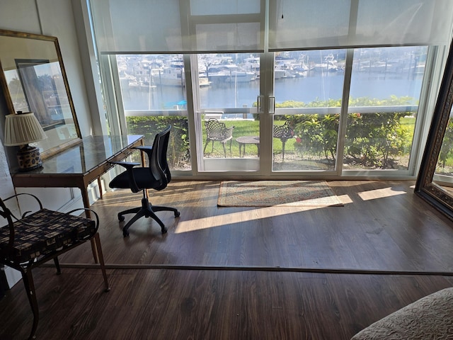 interior space featuring hardwood / wood-style flooring, a water view, and a healthy amount of sunlight