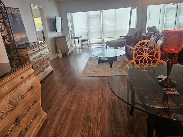 living room with dark wood-type flooring