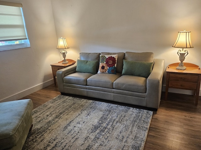 living room with dark hardwood / wood-style flooring