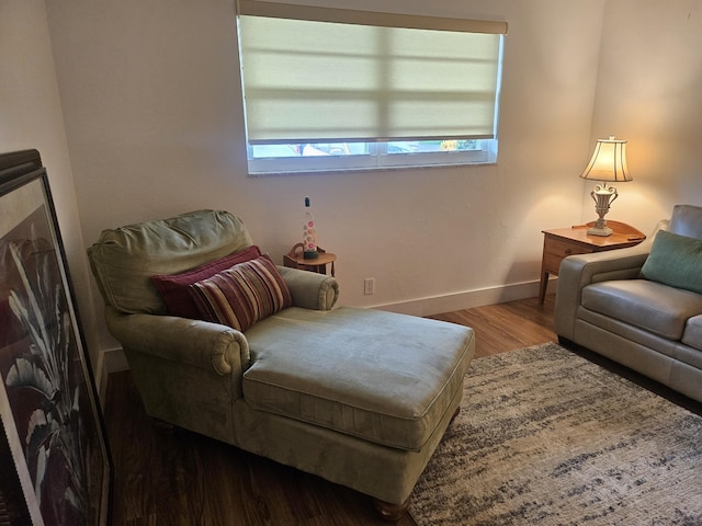 living area featuring hardwood / wood-style floors and plenty of natural light