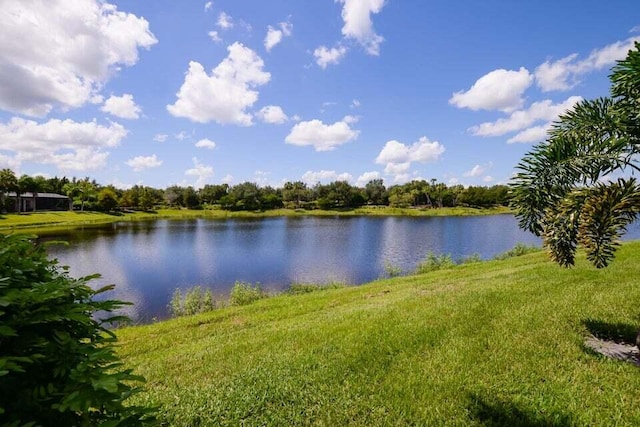 9895 SW Nuova Way, Port Saint Lucie, FL 34986 - view of water feature