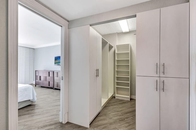 spacious closet featuring light hardwood / wood-style flooring