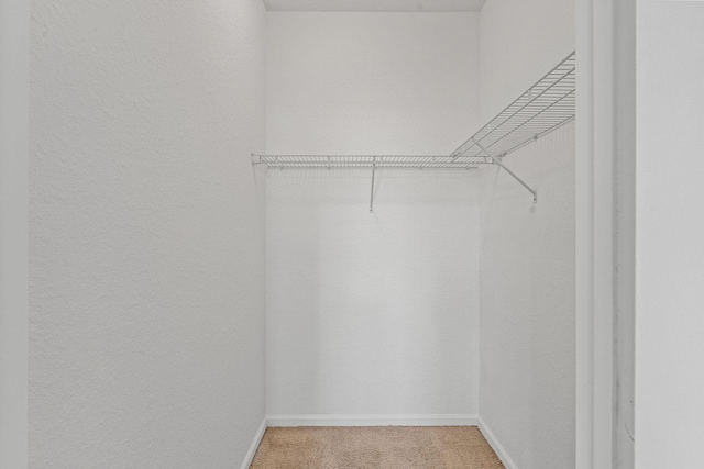 walk in closet featuring light carpet