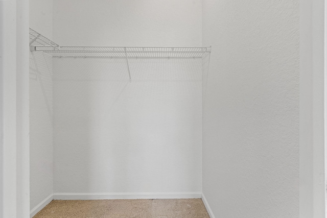 walk in closet with light colored carpet