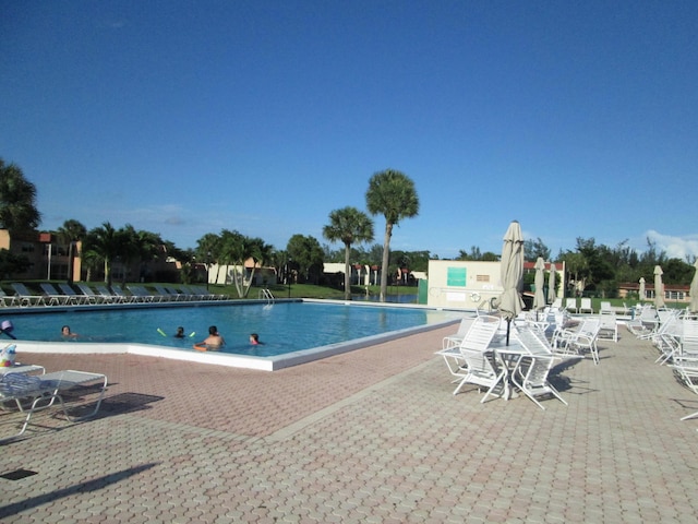 view of swimming pool featuring a patio area