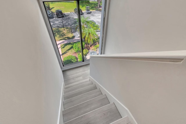 staircase with wood-type flooring