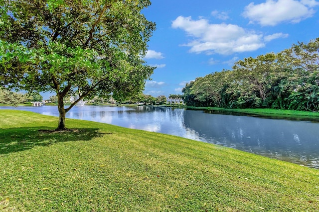 property view of water