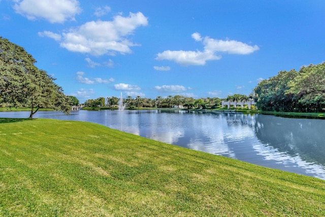 property view of water