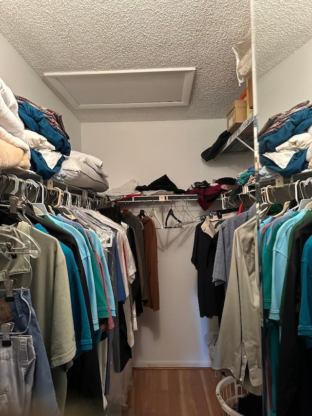 walk in closet featuring hardwood / wood-style flooring