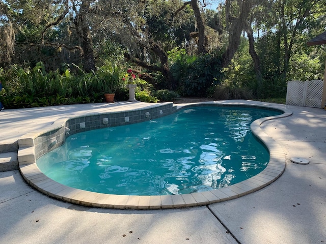 view of pool with a patio