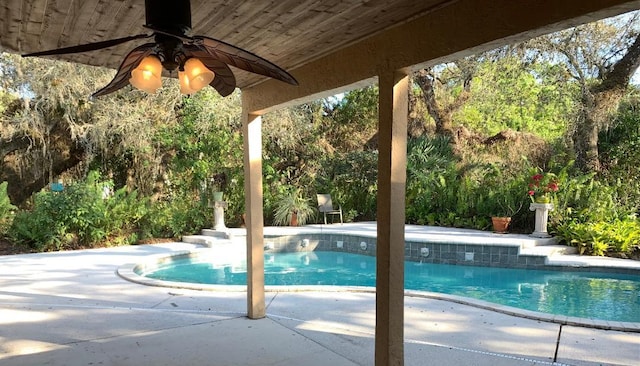 view of pool featuring a patio and ceiling fan