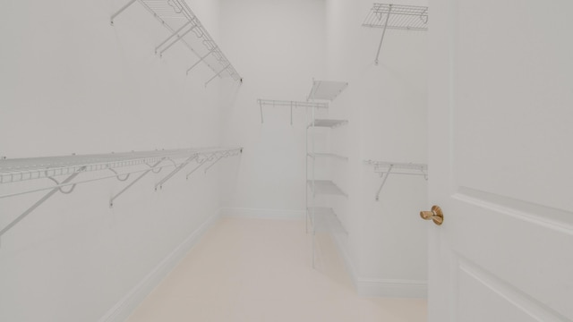 view of walk in closet