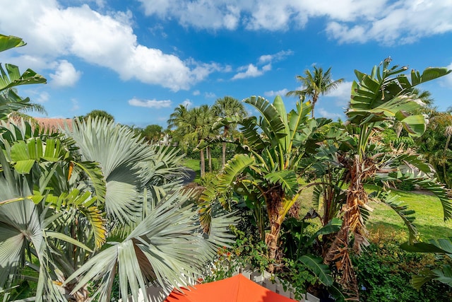 view of landscape