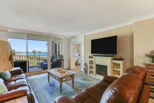 living room featuring crown molding, a wall of windows, and light hardwood / wood-style floors