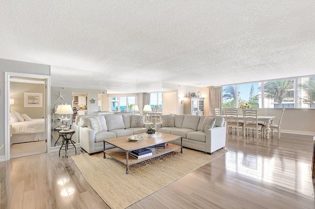 living room featuring light hardwood / wood-style flooring and a textured ceiling