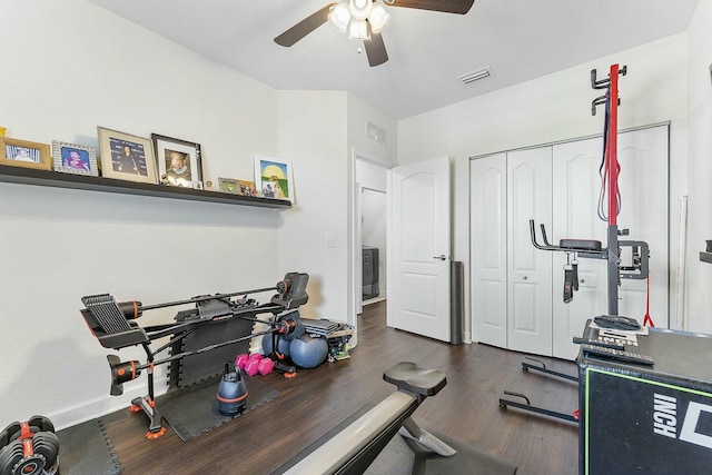 workout room featuring ceiling fan and dark hardwood / wood-style floors